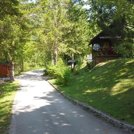 Vila Rozi, Osilnica - Vacation House Pr' Vili Rozi Exterior photo