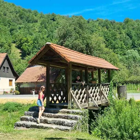 Vila Rozi, Osilnica - Vacation House Pr' Vili Rozi Exterior photo
