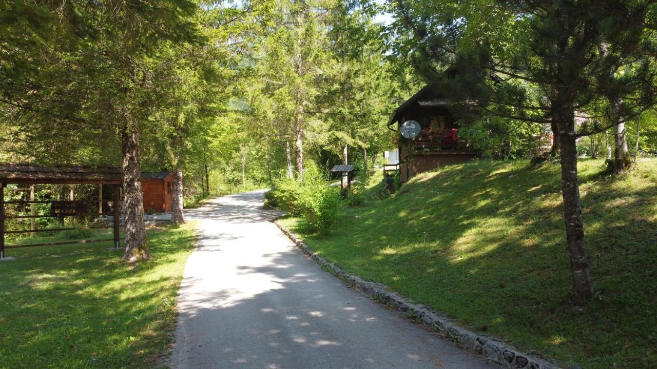 Rozi, - Pr' Rozi Holiday home Osilnica