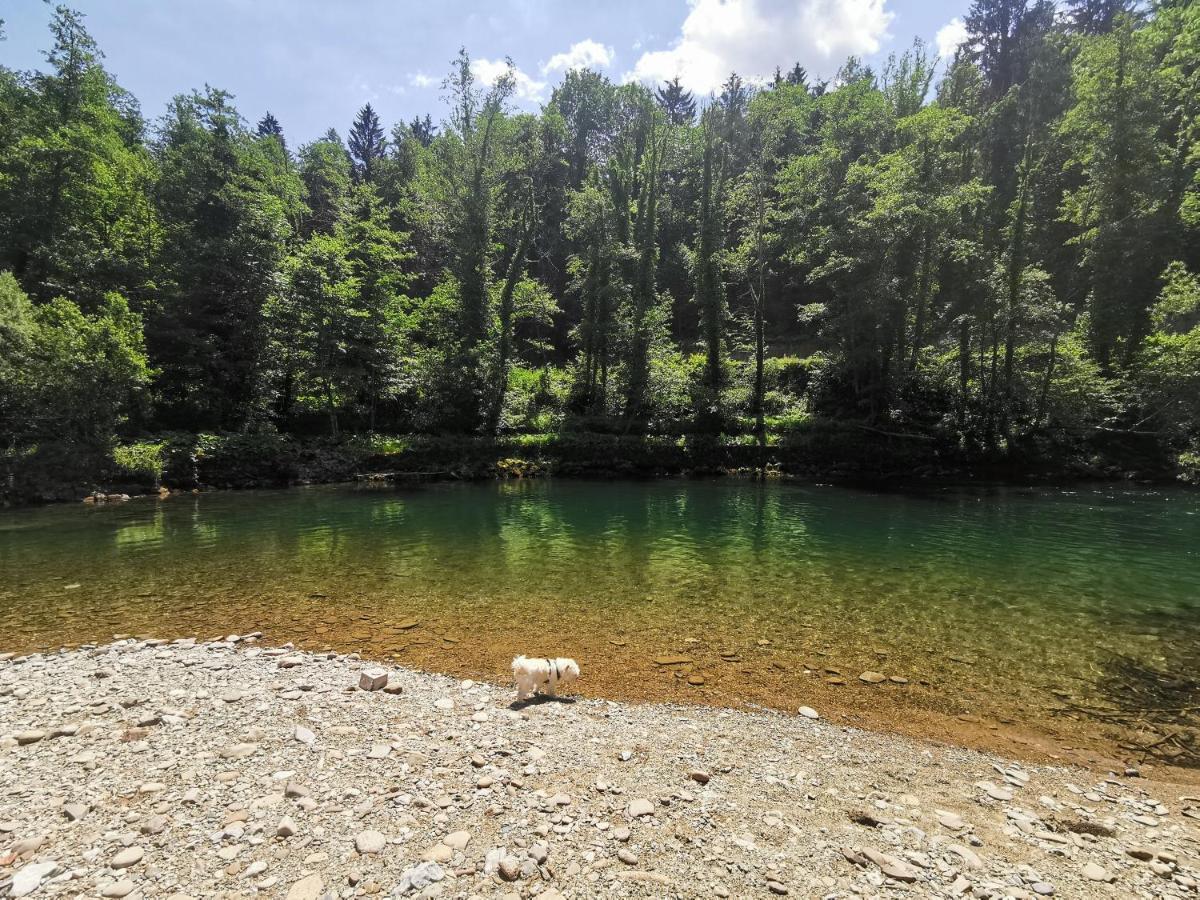 Holiday home Rozi, - Pr' Rozi